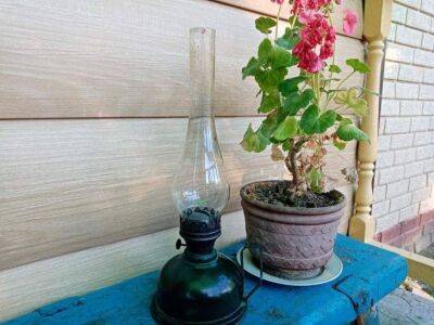 Как приготовить аналог дождевой воды для полива комнатных растений: хитрость опытных цветоводов - sadogorod.club