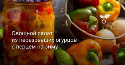 Овощной салат из перезревших огурцов с перцем на зиму - sadogorod.club