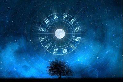 Общий гороскоп на январь 2023 года для всех знаков зодиака - miridei.com