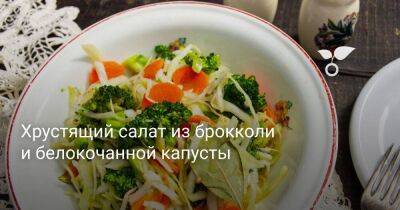 Хрустящий салат из брокколи и белокочанной капусты - sadogorod.club