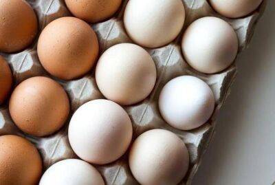 Зачем класть спички при варке яиц: этим пользуются повара - sadogorod.club
