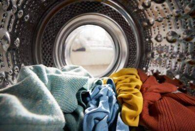 Как очистить стиральную машину: опытные хозяйки поделились простыми способами - sadogorod.club