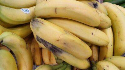 Как оздоровить растения с помощью банановой шкурки: 2 способа - sadogorod.club
