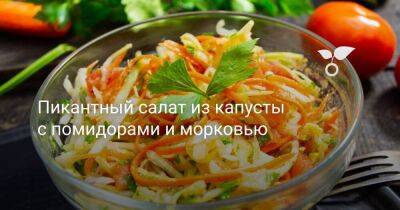 Пикантный салат из капусты с помидорами и морковью - sadogorod.club