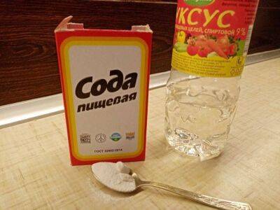 Анастасия Коврижных - Какие 3 хитрости с содой на участке известны опытным дачникам - sadogorod.club