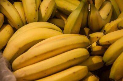 Как приготовить удобрение из банановой кожуры: дачники ошибаются и получают бесполезную подкормку - sadogorod.club