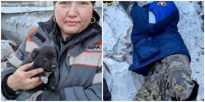 В Кузбассе спасли толстенького щенка, который застрял в теплотрассе - mur.tv