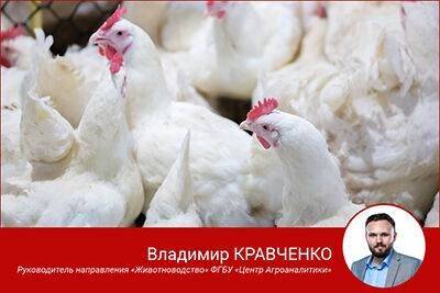 Россия наращивает объемы производства мяса птицы - sadogorod.club - Китай - Россия - Сша - Бразилия