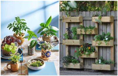 8 идей для декоративного мини-сада, которые оживят любое пространство - milayaya.ru