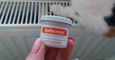 Свекровь прислала из Голландии «Судокрем», чудо-крем заменяет половину аптечки и косметички - lifehelper.one - Голландия