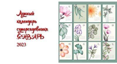 Лунный посевной календарь садовода, цветовода и огородника на январь 2023 года - sadogorod.club