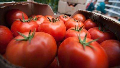 Как сделать безвкусные магазинные помидоры вкусными: 3 варианта решения проблемы - lifehelper.one