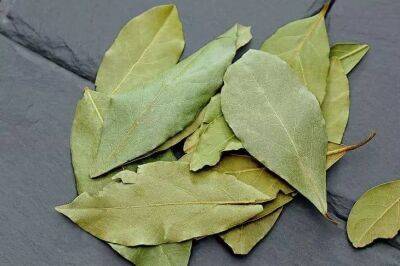 Чтобы растения были зелеными и красиво цвели, используйте лавровый лист - sadogorod.club