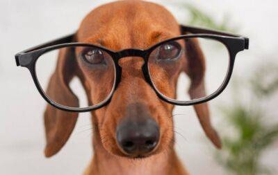 Есть вопрос: как защитить очки от запотевания? - hochu.ua