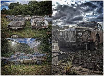 Городской исследователь обнаружил загадочное кладбище классических автомобилей в Шотландии - porosenka.net - Шотландия