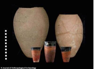 Древнеегипетская элита 5800 лет назад пила густое, похожее на кашу, пиво - chert-poberi.ru - Египет - штат Нью-Гэмпшир