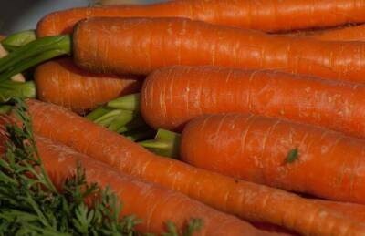 Марин Михалап - Чем подкормить морковь, чтобы все в округе завидовали урожаю: деревенская хитрость - sadogorod.club