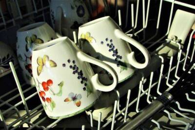 Игорь Зур - Почему посудомоечная машина стала хуже мыть посуду: 3 совета по решению проблемы - lifehelper.one
