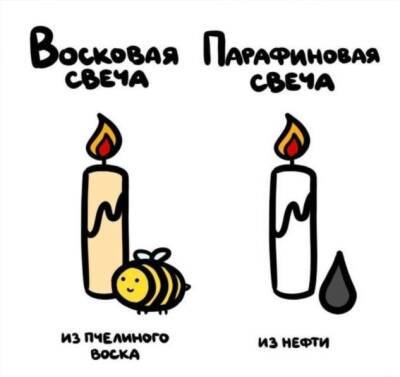 Разные забавные подсказки о вещах и понятиях, которые люди часто путают - chert-poberi.ru