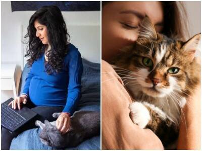 Как кошка относится к беременной хозяйке - mur.tv