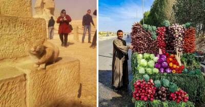 Луи Армстронг - 30 фотографий из Египта, которые не увидишь в туристической рекламе - porosenka.net - Италия - Египет - Каир - Судан - Александрия