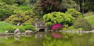 Клод Моне - 12 самых потрясающих ботанических садов мира - fokus-vnimaniya.com - Франция - Нью-Йорк - Таиланд - Нью-Йорк - Рио-Де-Жанейро