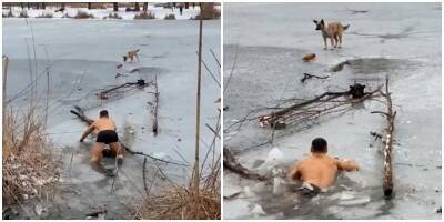 В Донецке мужчина спас собаку, которая провалилась под лёд - mur.tv - Донецк