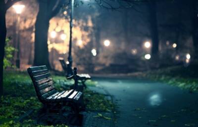 Поздний холодный вечер. Пустой парк, скамейка. И чей-то мокрый силуэт - mur.tv - Германия