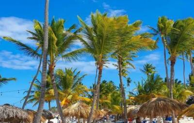 «Не берите старые отели»: туристка делится советами с теми, кто собирается в Доминикану, и рассказывает о минусах - fokus-vnimaniya.com