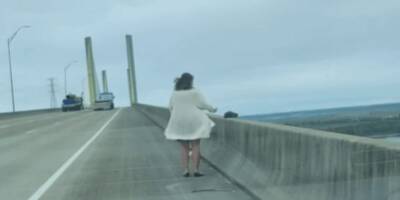 Ода неравнодушию: сердобольная автовладелица замечает пушистый комочек на мосту - mur.tv