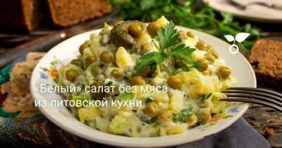 «Белый» салат без мяса из литовской кухни - sadogorod.club