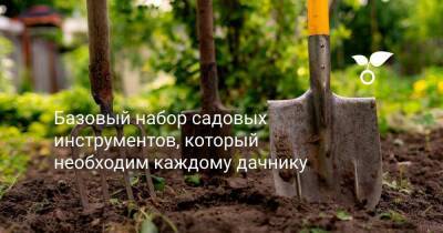 Базовый набор садовых инструментов, который необходим каждому дачнику - sadogorod.club