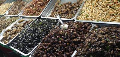 10 блюд из насекомых, которые считаются деликатесом в разных странах - fokus-vnimaniya.com - Таиланд