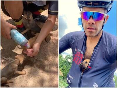 Велосипедист заметил щенков, которые пищали у дороги - mur.tv - Бразилия
