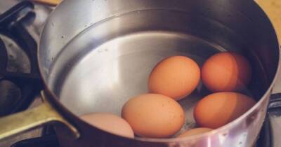 Как правильно варить яйца, чтобы чистились легко и не трескались - lifehelper.one