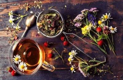 ​Травяные, цветочные и ягодные чаи: когда их пить и чем они полезны - lifehelper.one