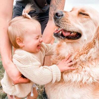 Дружба маленькой девочки и её большой собаки - chert-poberi.ru - Австралия