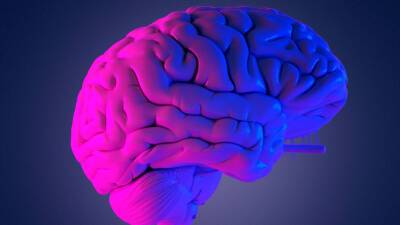 7 невероятных фактов о работе нашего мозга, о которых вы могли не знать - gurutest.ru