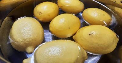 Запасливая хозяйка сушит лимоны килограммами, хотя они есть в магазине круглый год, объясняем, для чего - lifehelper.one