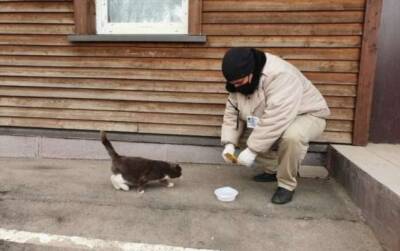 5 советов, как продуктивно помогать бездомным животным, не навредив им - milayaya.ru - Белоруссия