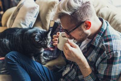 Люди и кошки: а если у меня намечаются перемены в личной жизни? - mur.tv