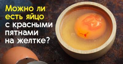 Обнаружила в сыром яйце красное пятнышко, боюсь его есть, звоню свекрови получить совет - lifehelper.one