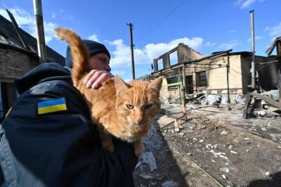Світ має знати: як українці рятують своїх домашніх тварин - vogue.ua
