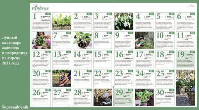 Лунный посевной календарь садовода, цветовода и огородника на апрель 2022 года - sadogorod.club