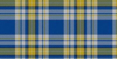 У Шотландії зареєстрували новий тартан у кольорах українського прапора - vogue.ua - Сша - Украина - Шотландия