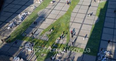На Софійській площі виклали величезний герб із тюльпанів - womo.ua - місто Київ