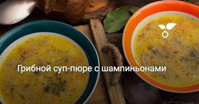 Грибной суп-пюре с шампиньонами - sadogorod.club