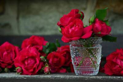 Игорь Зур - Что нужно добавить в воду, чтобы розы дольше стояли: секрет всем женщинам - lifehelper.one