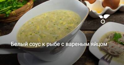 Белый соус к рыбе с вареным яйцом - sadogorod.club