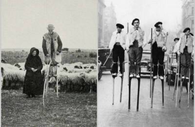 Когда ходули были необходимостью: как французские пастухи пасли овец - porosenka.net - Россия